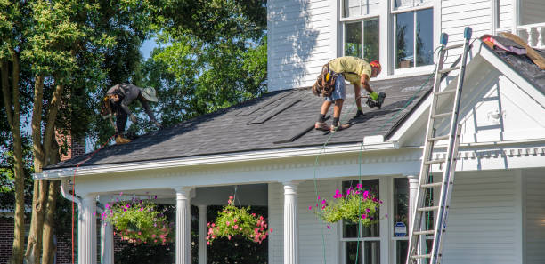 Best Roof Gutter Cleaning  in Pinetops, NC